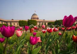 Amrit Udyan Opens Exclusively for Senior Citizens Today