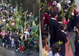 Christians across Nagaland observe Palm Sunday
