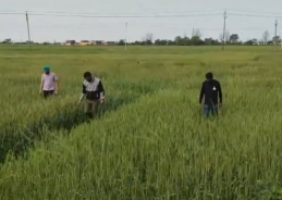 Jammu Police and BSF recover 2 kg heroin worth Rs 12 Crore dropped by Pakistani Drone