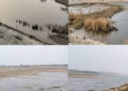 Telangana: Mancherial District Collector expresses gratitude to PM Modi for praising Mudigunta village in MKB