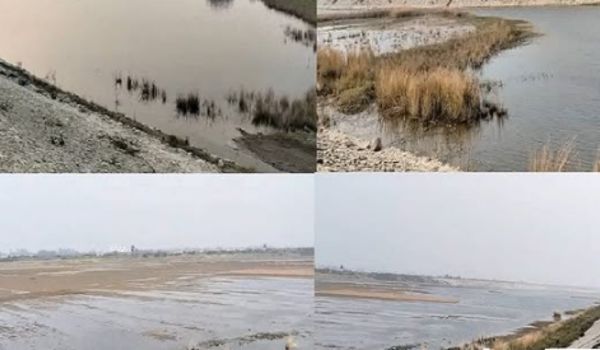 Telangana: Mancherial District Collector expresses gratitude to PM Modi for praising Mudigunta village in MKB