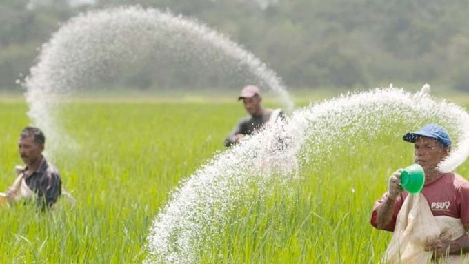 Urea Production Rises to 315 LMT in a Decade, Govt Assures Adequate Supply for Kharif Season