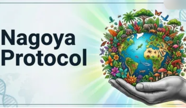 नागोया प्रोटोकॉल के तहत आईआरसीसी जारी करने में भारत वैश्विक स्तर पर अग्रणी
