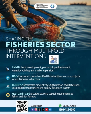 देश के सी-फूड निर्यात में 11 वर्ष में मजबूत और निरंतर वृद्धि दर्ज की गई