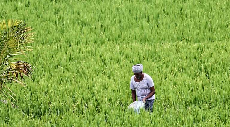 Summer crop sowing covers over 58 lakh hectares across country