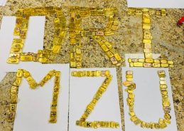 DRI Mumbai busts major gold smuggling operation