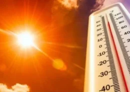 IMD Forecast: Heatwave in North and Central India; Heavy Rainfall in Northeast Over Next Few Days