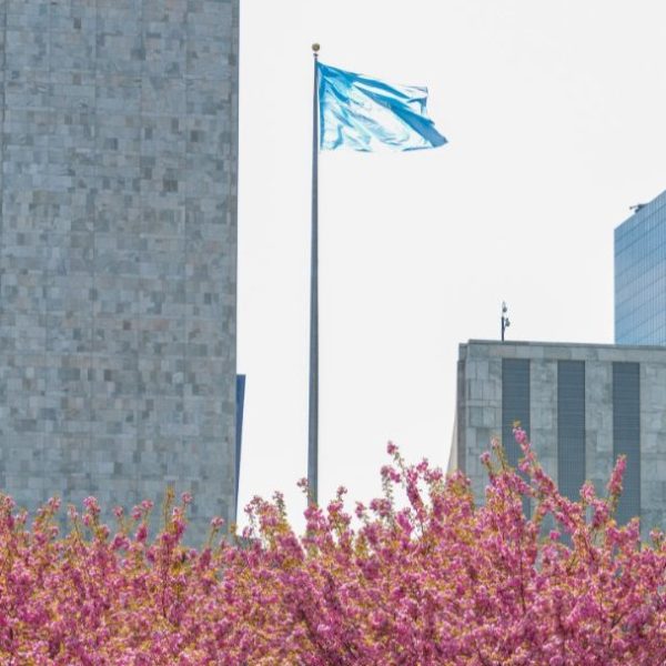 2026 Review Conference of Parties to Treaty on NPT begins in New York today