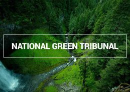 NGT issues notices to multiple agencies over Yamuna pollution