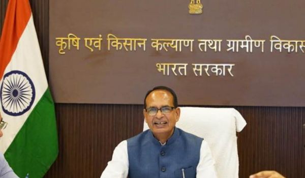 Govt approves potato procurement in UP, Chana procurement in Andhra Pradesh