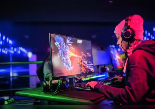 Govt sets up Online Gaming Authority to regulate gaming sector