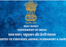 India’s seafood exports record strong growth at average annual rate of 7% over past eleven years