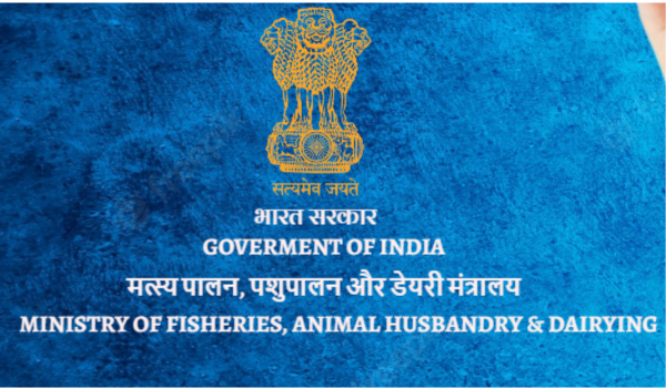 India’s seafood exports record strong growth at average annual rate of 7% over past eleven years