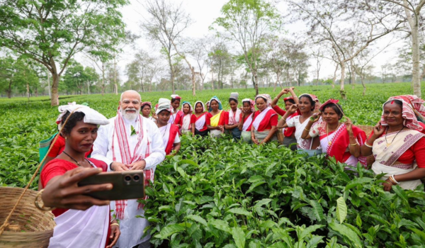 प्रधानमंत्री और वरिष्‍ठ भाजपा नेता नरेन्‍द्र मोदी ने असम के डिब्रूगढ़ में चाय बागान का दौरा किया