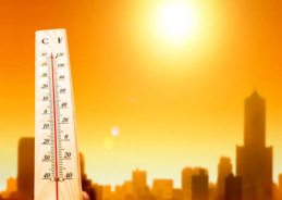 Telangana reels under severe heatwave temperatures cross 42 degrees