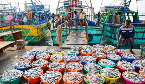 India’s Seafood exports rise to over ₹72,300 cr in FY 2025-26