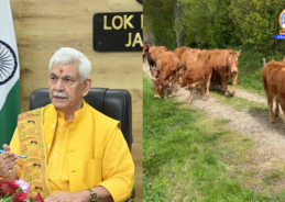 LG Manoj Sinha forms committee to draft SOPs for regulating transport of bovine animals in J&K