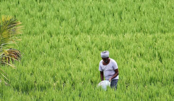 Summer crop sowing covered over 69 lakh hectares across India as of April 17 