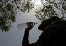 Severe heatwave grips Odisha; IMD issues yellow alert in multiple districts