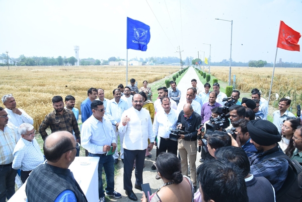 ICAR reviews the prevailing wheat crop scenario during a field interaction
