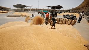 Government Increases Wheat Procurement Target at Minimum Support Price by 15%