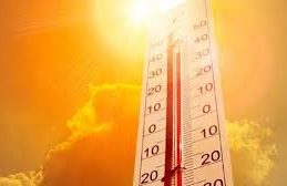 Government Issues Nationwide Heatwave Advisory to Safeguard Workers from Rising Temperatures