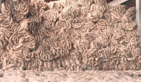 Govt reduces Jute Stock Limits for Raw Jute Traders, Balers to zero