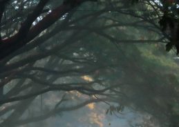 Mizoram: Schools in Aizawl, Serchhip, and Lunglei districts remained closed for 2nd consecutive day