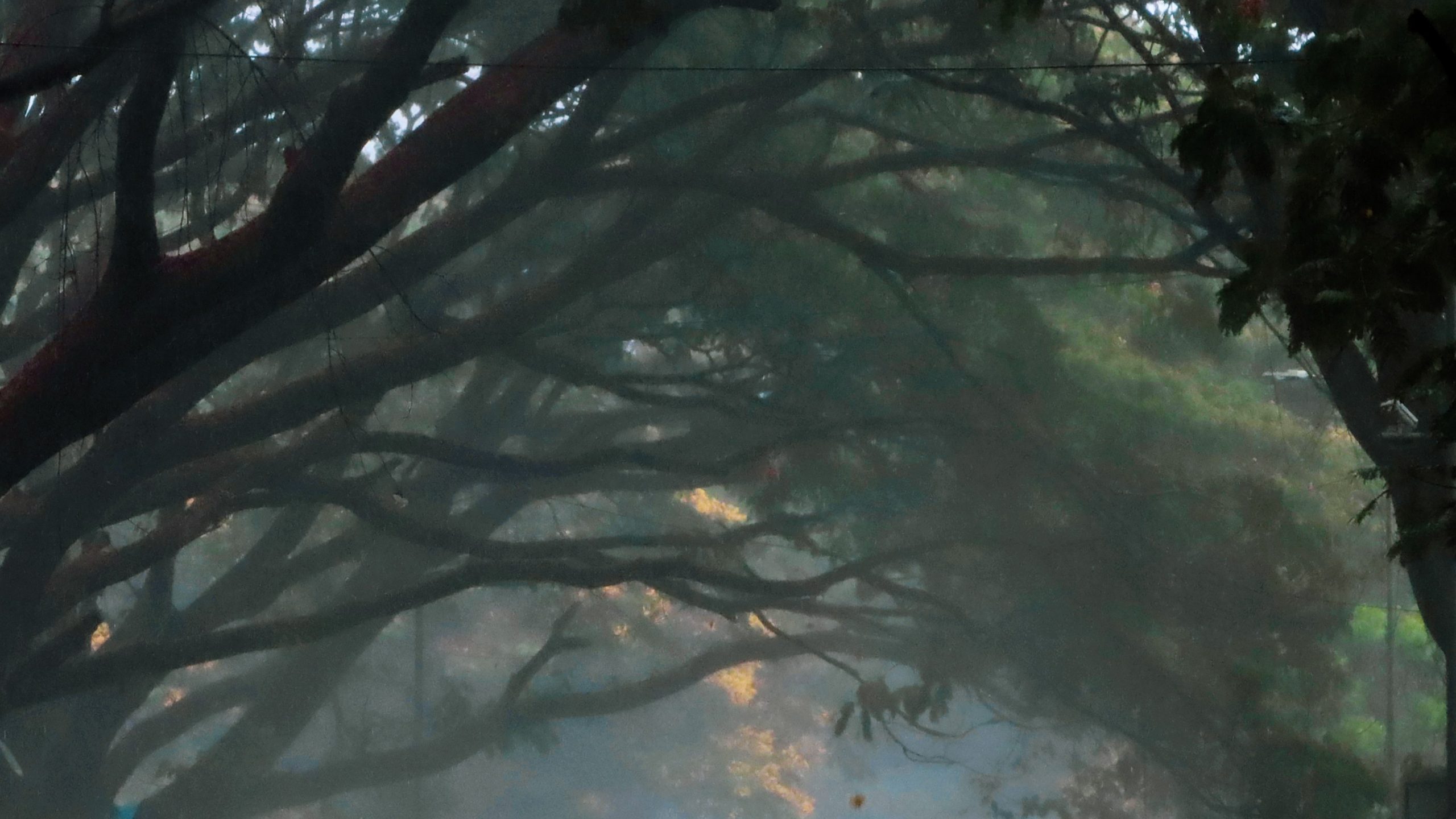 Mizoram: Schools in Aizawl, Serchhip, and Lunglei districts remained closed for 2nd consecutive day