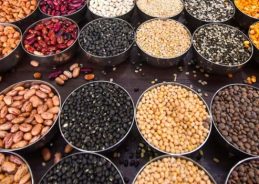 Govt launches first-ever Structured Pulse Procurement in Bihar under Atmanirbhar Pulses Mission