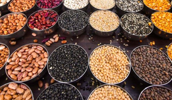 Govt launches first-ever Structured Pulse Procurement in Bihar under Atmanirbhar Pulses Mission