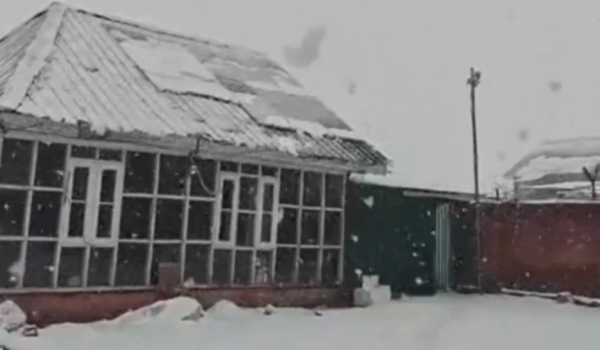 Fresh Snowfall Brings Cheer to Tourists in Ladakh