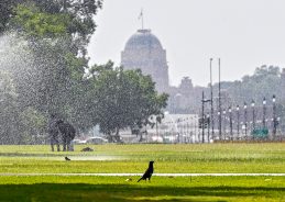 IMD issues Yellow Alert for Heatwave conditions in Delhi for next three days