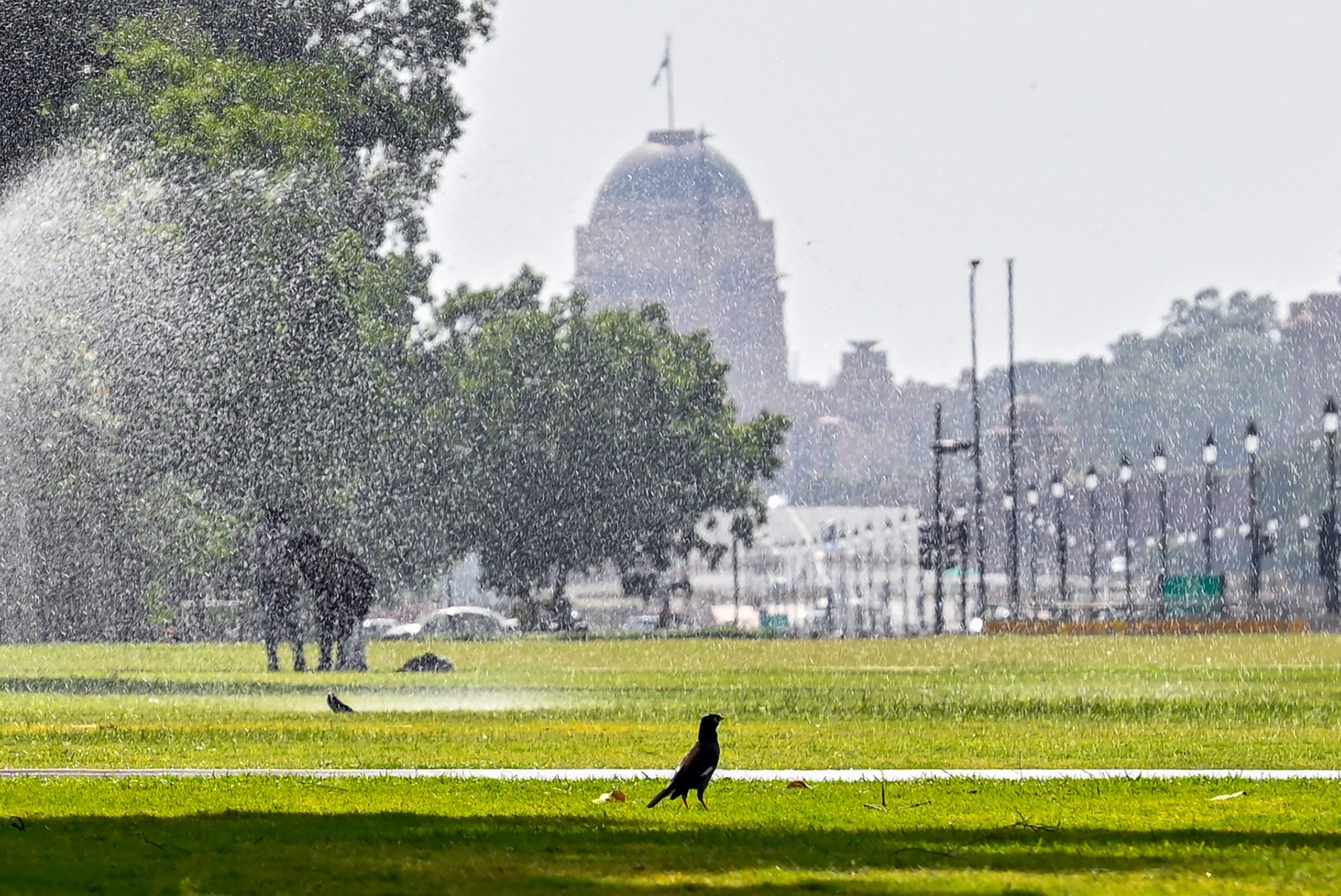 IMD issues Yellow Alert for Heatwave conditions in Delhi for next three days