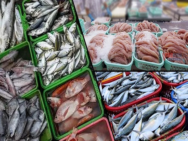 EU includes India in revised draft list for continued export of aqua products 