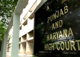 Punjab and Haryana HC stays felling of trees for flyover in Chandigarh