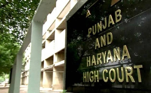Punjab and Haryana HC stays felling of trees for flyover in Chandigarh