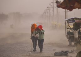 Uttar Pradesh: Rain, lightning & dust storms claim 43 lives in last 24 hours
