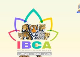 First International Big Cat Alliance Summit scheduled to take place in New Delhi on June 1 postponed