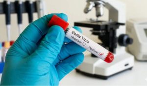 Ebola death toll rises to 136 in Congo