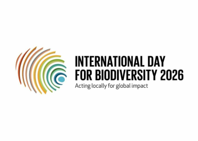 UAE marks Biodiversity Day with record conservation milestones