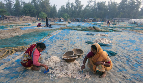 मत्स्य पालन उत्पादों के निरंतर निर्यात के लिए संशोधित मसौदा सूची में ईयू ने भारत को शामिल किया